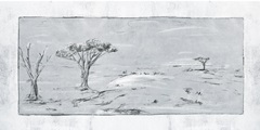 Snowy Land I