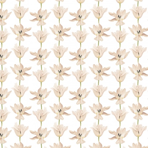 Mother's Day Posy Collection G