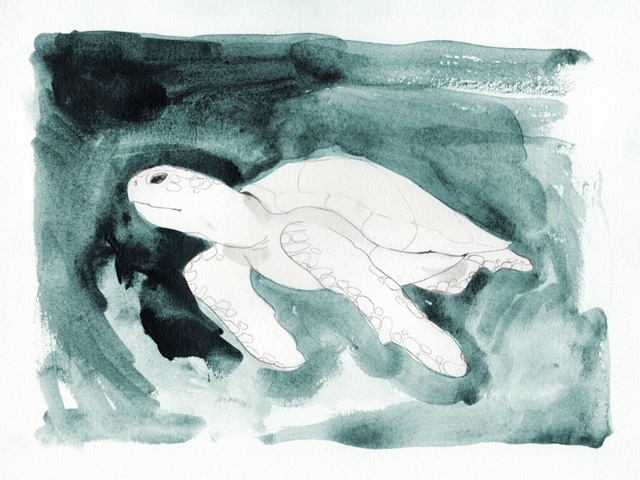 Sea Turtle Searching II