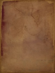 Sepia Submergence II