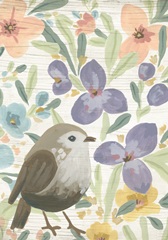 Songbird Garden Collection B