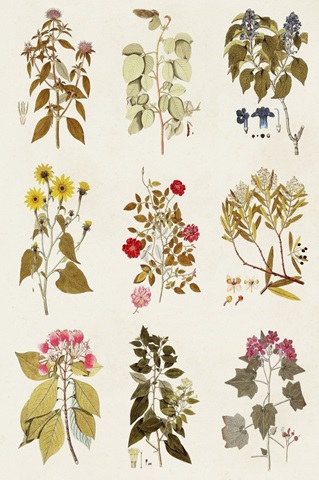 Antique Floral Grid I