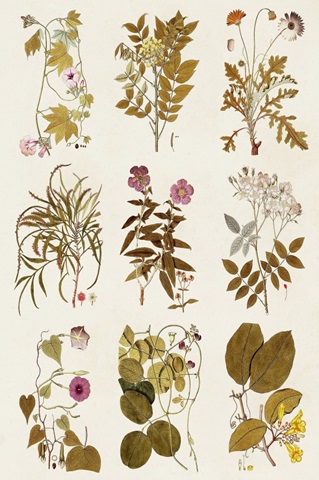 Antique Floral Grid II