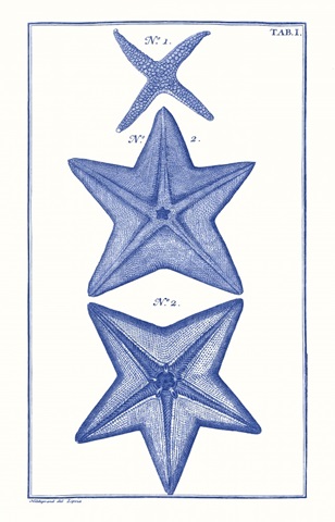 Blue Sea Stars II