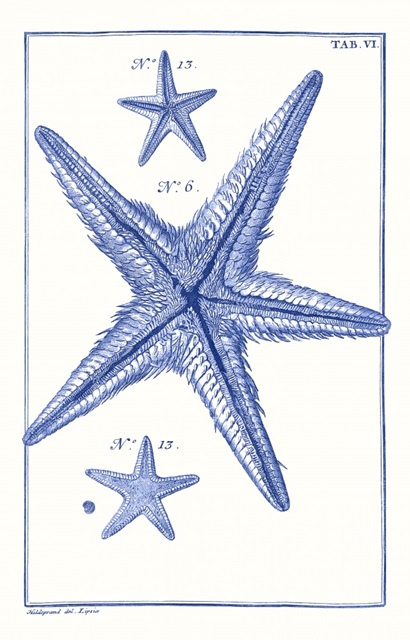 Blue Sea Stars III