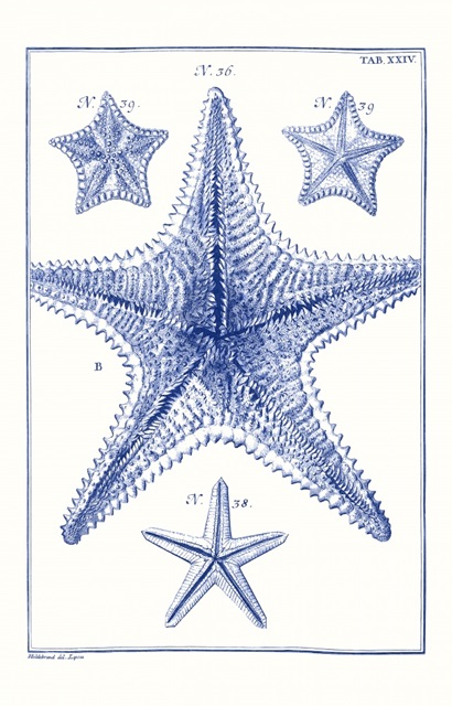 Blue Sea Stars VIII