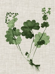 Forest Foliage on Linen I