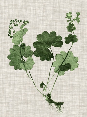 Forest Foliage on Linen I