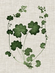 Forest Foliage on Linen II