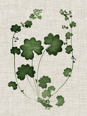 Forest Foliage on Linen II