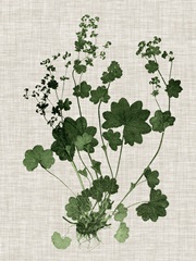 Forest Foliage on Linen III