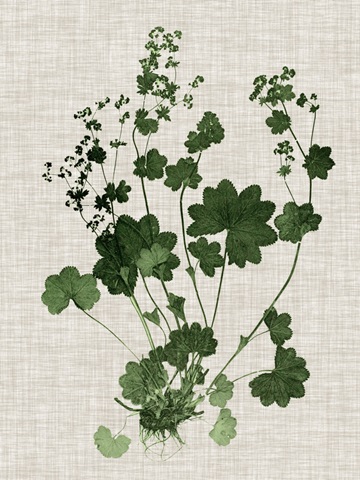 Forest Foliage on Linen III