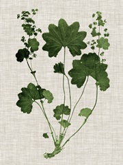 Forest Foliage on Linen IV