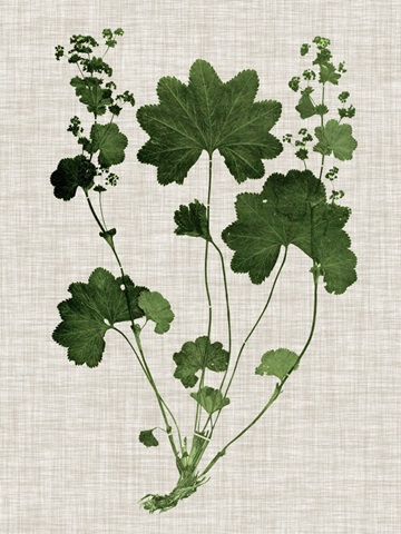 Forest Foliage on Linen IV