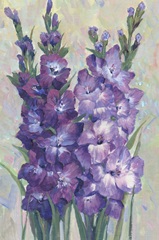 Gladiolas Blooming II