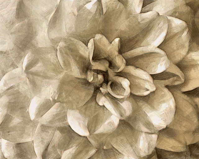 Neutral Wall Flower III