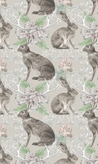 Hare & Antlers Collection E