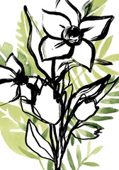 Tropical Sketchbook Collection B