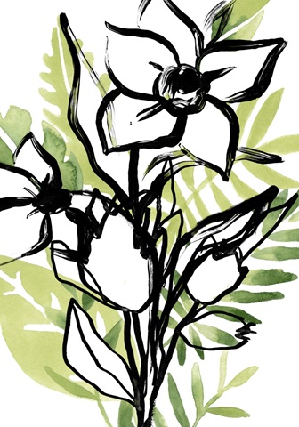 Tropical Sketchbook Collection B