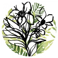 Tropical Sketchbook Collection C