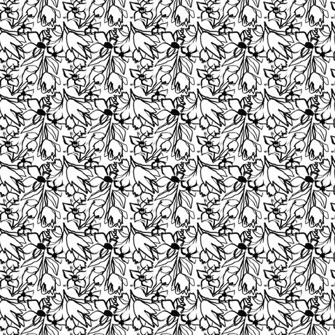 Tropical Sketchbook Collection H