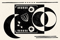 White Moon Collection A