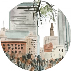 Winter Road Collection C