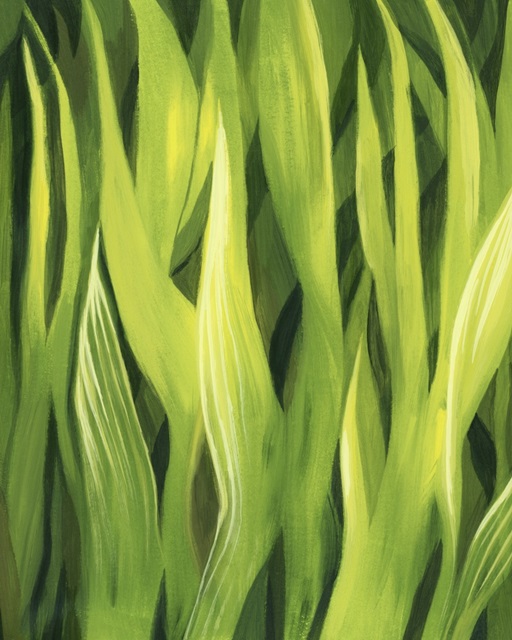 Blades of Grass I