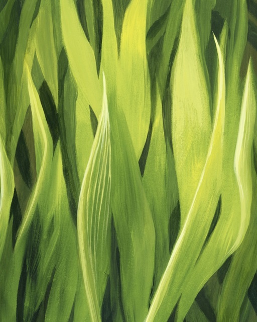 Blades of Grass II