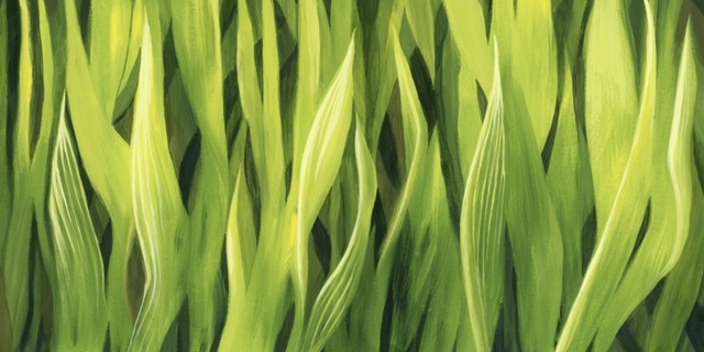 Blades of Grass III