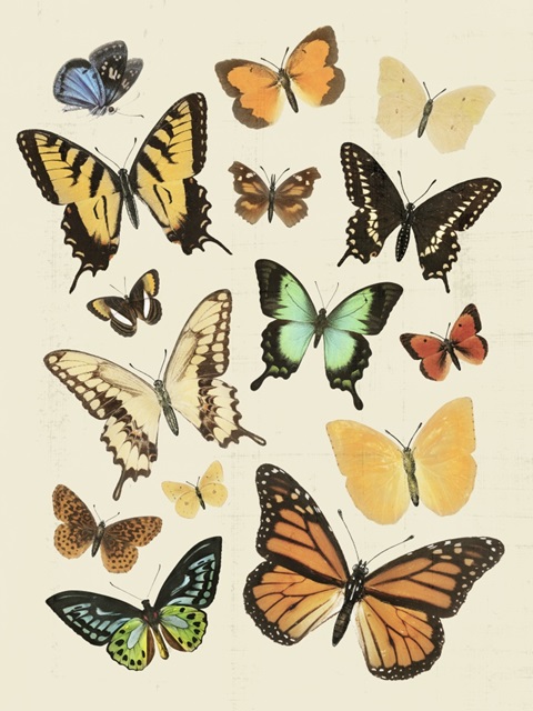 Collected Flutter I