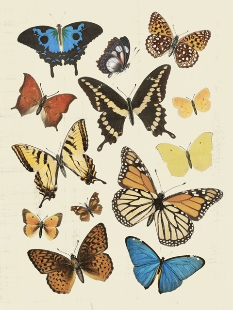 Collected Flutter II