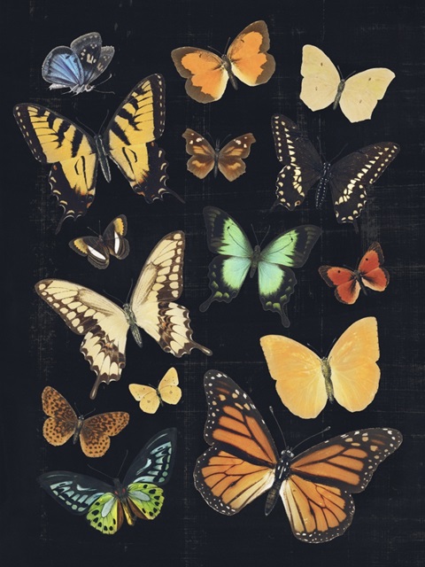 Collected Flutter III