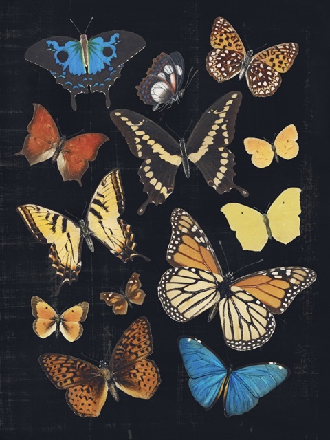 Collected Flutter IV