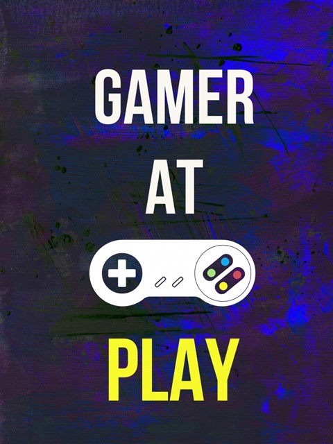Gamer at Play VI