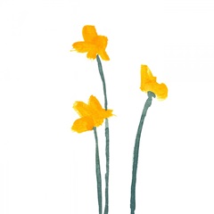 Simple Buttercups I
