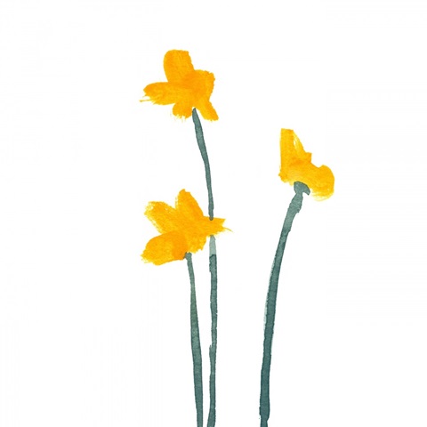 Simple Buttercups I