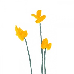 Simple Buttercups II