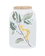 Nature Jar I