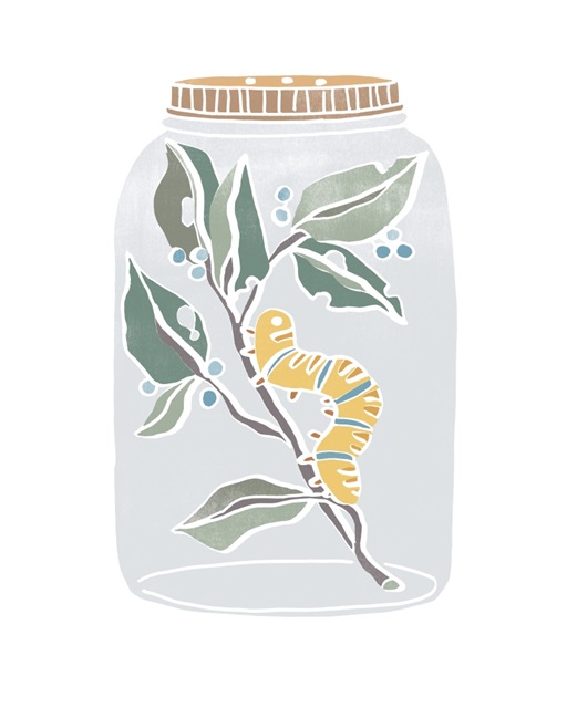 Nature Jar I
