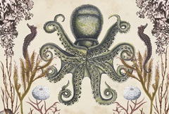 Antiquarian Menagerie Collection A