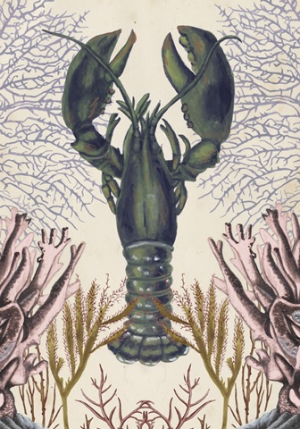 Antiquarian Menagerie Collection B