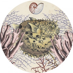 Antiquarian Menagerie Collection C