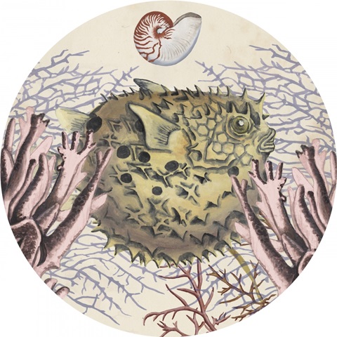 Antiquarian Menagerie Collection C