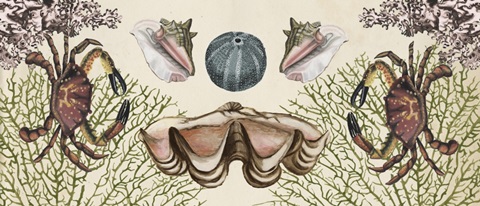 Antiquarian Menagerie Collection D