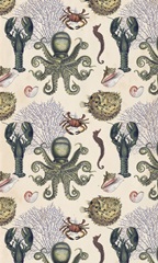 Antiquarian Menagerie Collection E