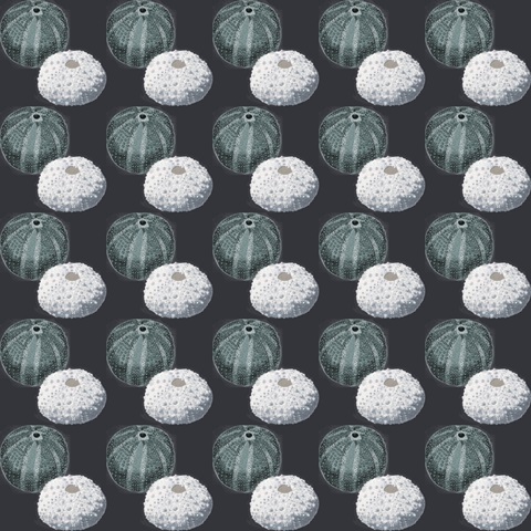 Antiquarian Menagerie Collection H