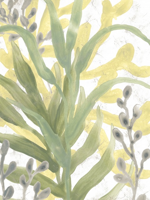 Sea Grass Fresco IV