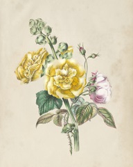 Antique Garden Bouquet II