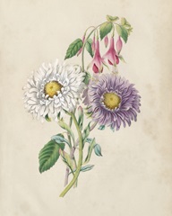 Antique Garden Bouquet III